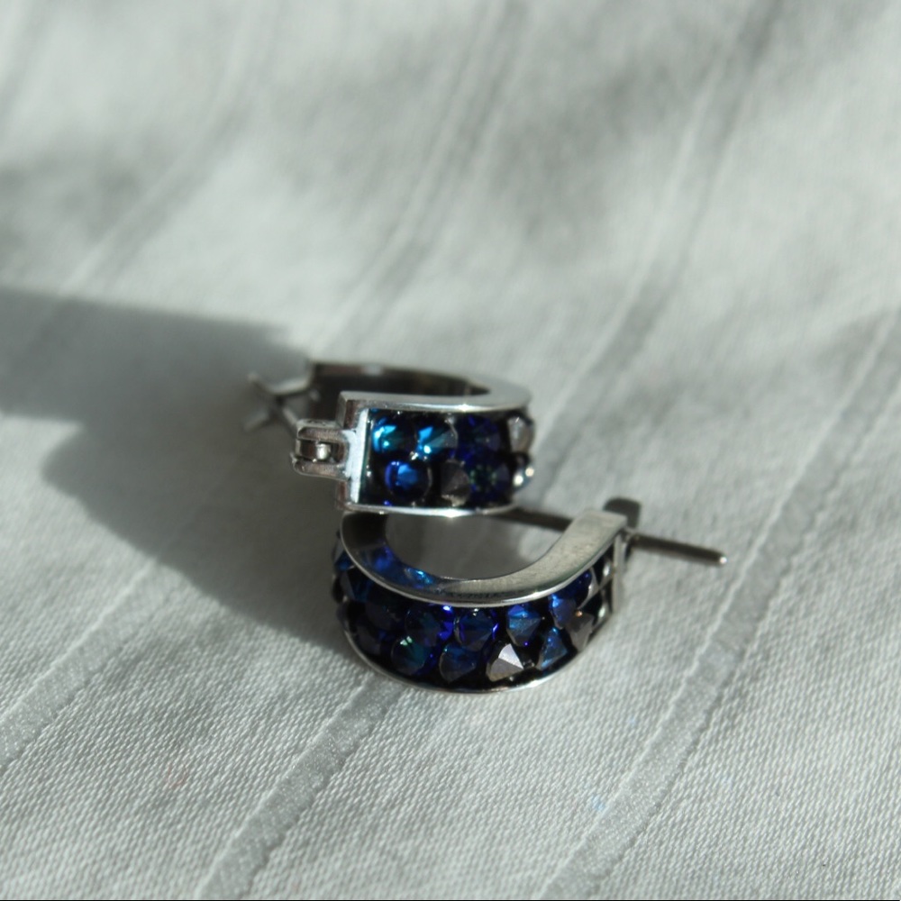 Swarovski Crystaldust Earrings NWT